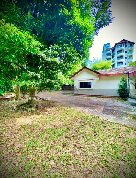 A CORNER Single-Storey Bungalow on Jalan Bunga Kaca Piring in Tanjung Bungah. - 5