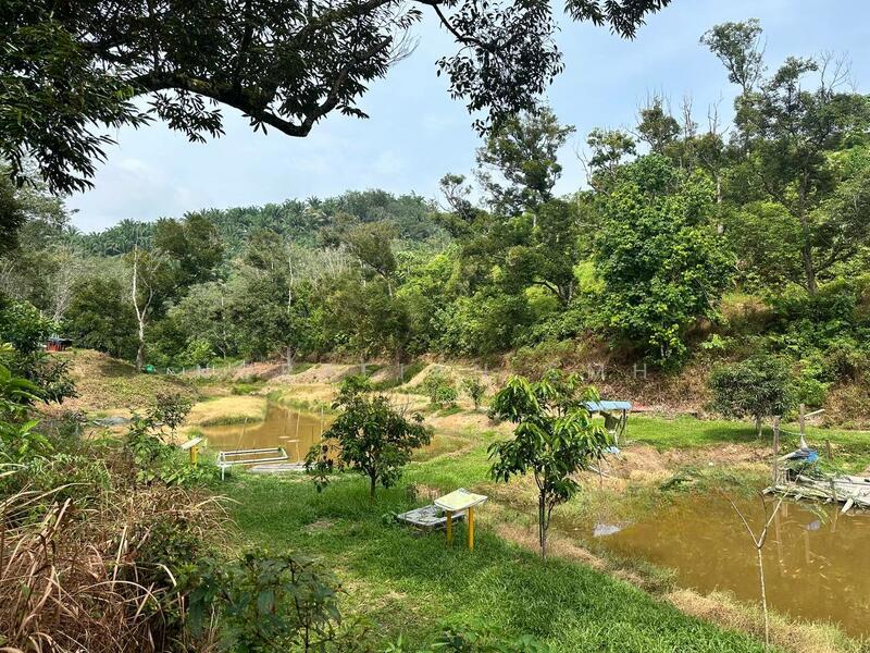 Kuala Kubu Baru Selangor Glamping Camp dan Kebun Durian Untuk Di Jual - 3