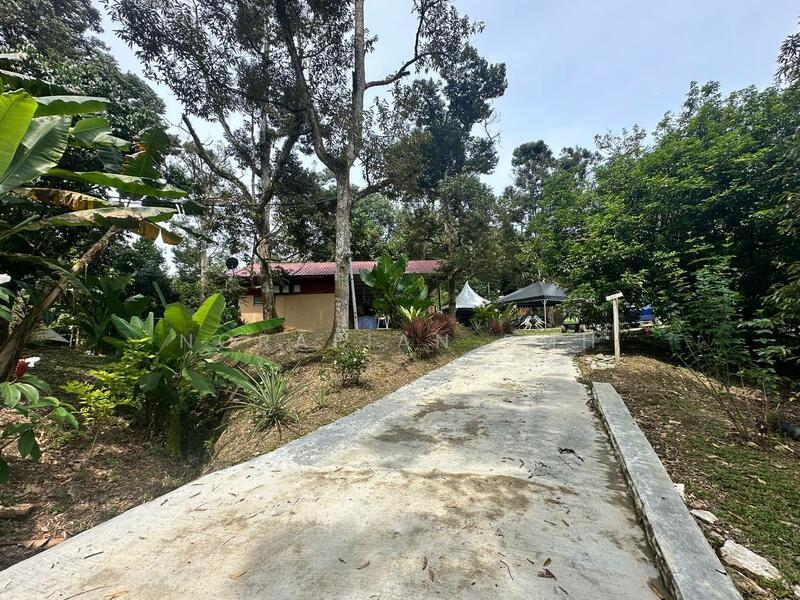 Kuala Kubu Baru Selangor Glamping Camp dan Kebun Durian Untuk Di Jual - 1