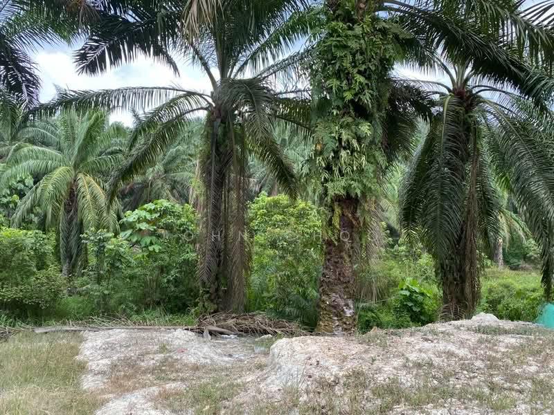 Negeri Sembilan 147 Acres Agricultural Land For Sale - 1