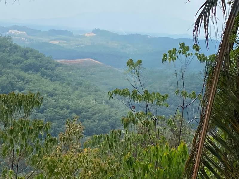 Negeri Sembilan 147 Acres Agricultural Land For Sale - 4