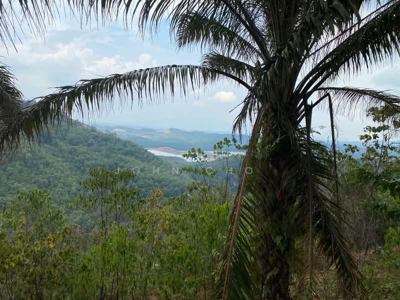 Negeri Sembilan 147 Acres Agricultural Land For Sale - 5