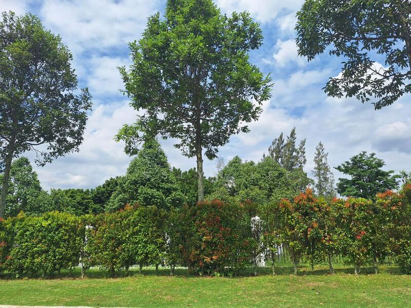 Tenderfields @ Eco Majestic - 4