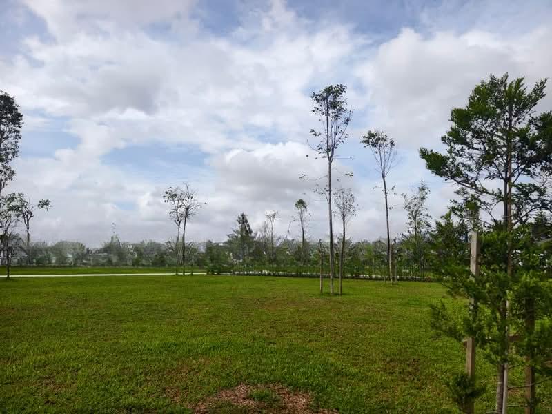 Dato Onn Datos Onns - 2