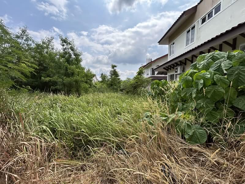 Lot Bungalow Non Bumi di Pekan Kuala Pilah - 4