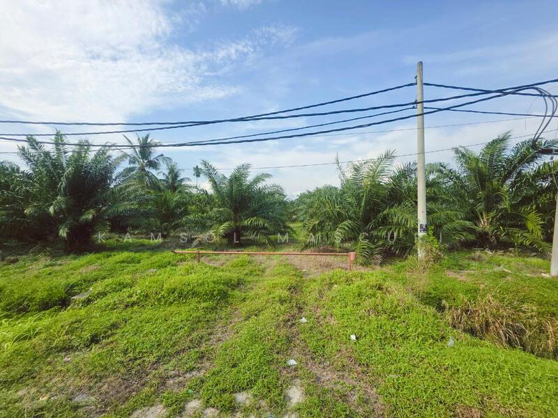 Tanah Tepi Jalan Ijok Selangor - 5