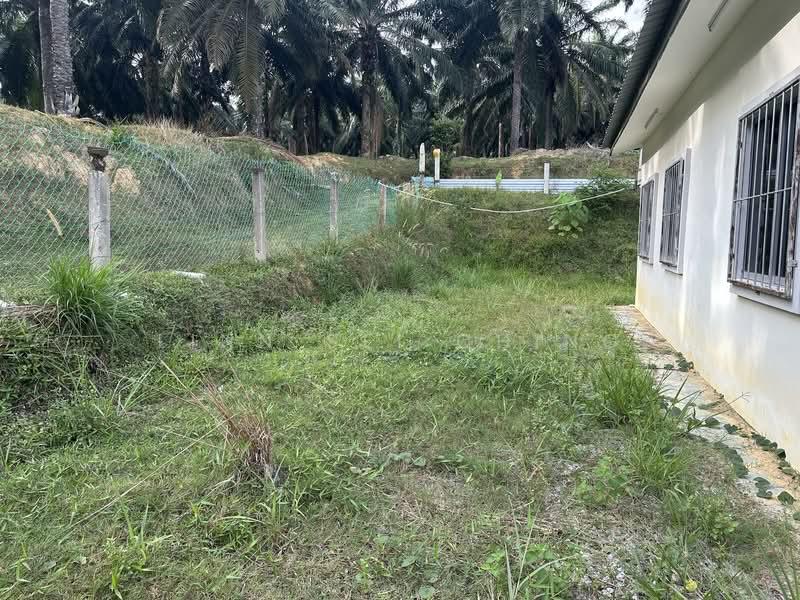 Kampung Machap Umboo - 2