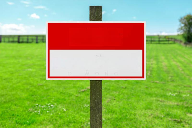 Face Main Road Suitable for Development Use @ Converted Freehold Land - 1