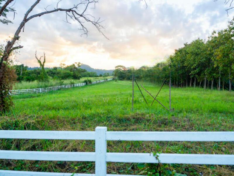 Face Main Road Suitable for Development Use @ Converted Freehold Land - 2