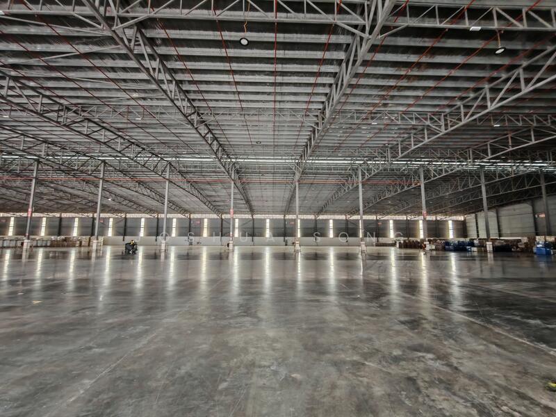 Gelang Patah Gelangs Patahs - 3