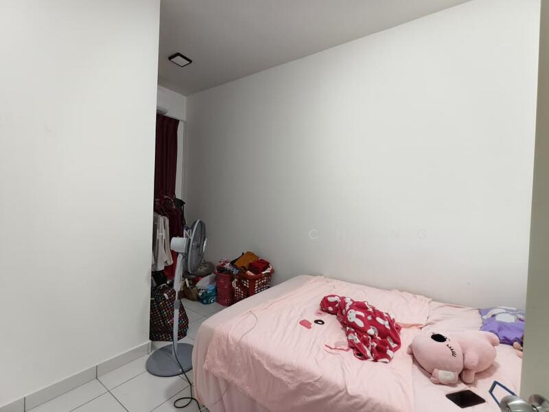 Dahlia Seri Austin - 3