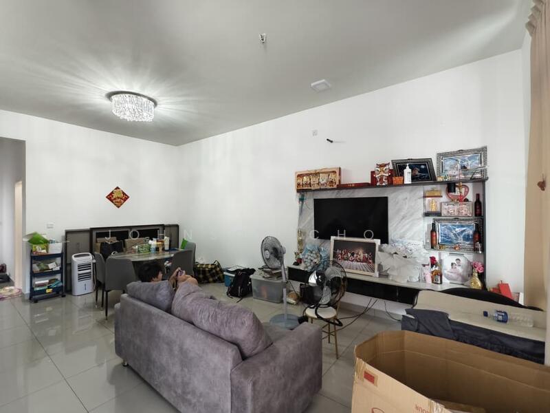 Dahlia Seri Austin - 1