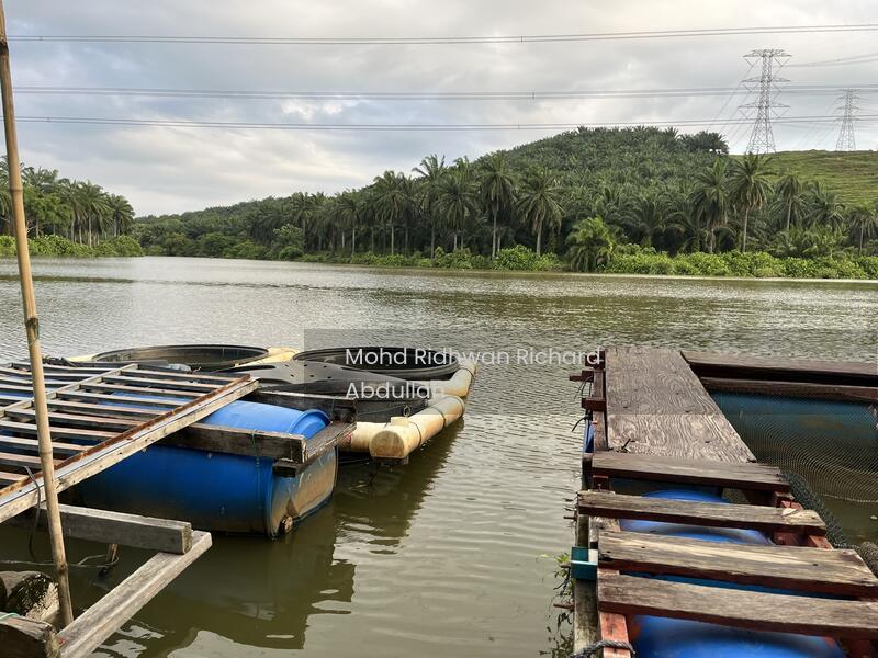 Taman Dahlia (Bandar Baru Salak Tinggi) - 5