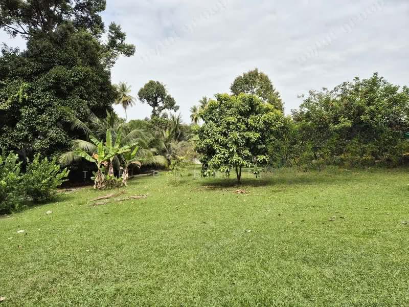 1.24 Acres Land and Bungalow | Sungai Bakap | Penang Rm44.43psf f - 3