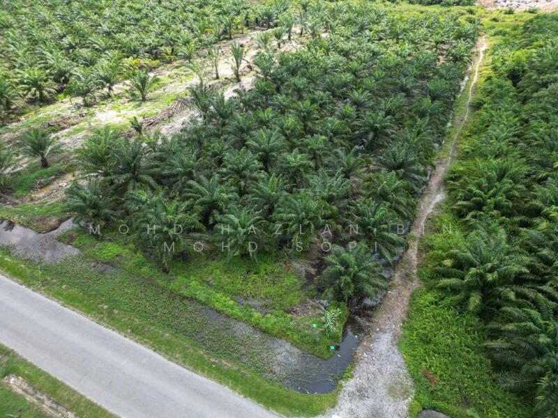 1.86Acre Land Near Rimbayu - 5