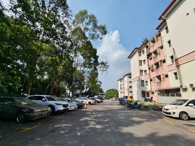 Sri Dahlia - 3