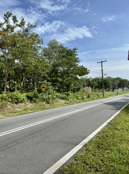 L0127 Agricultural Land @ Telaga Air Near Serapi Virgin Coconut Milk Shake (3.62 ac) - 1