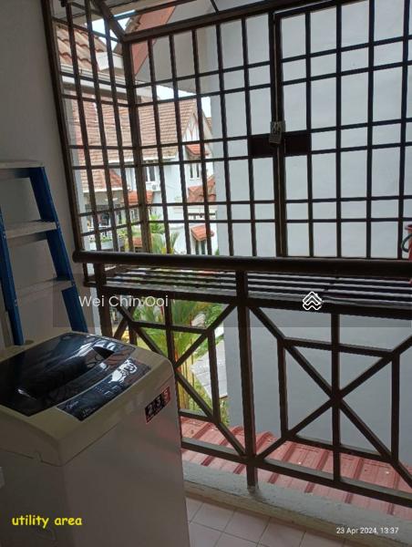 Halaman Areka - 3