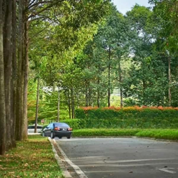 Jade Hills - 5