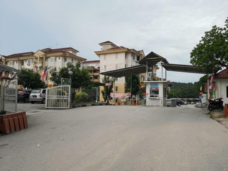 Palma Puteri - 2