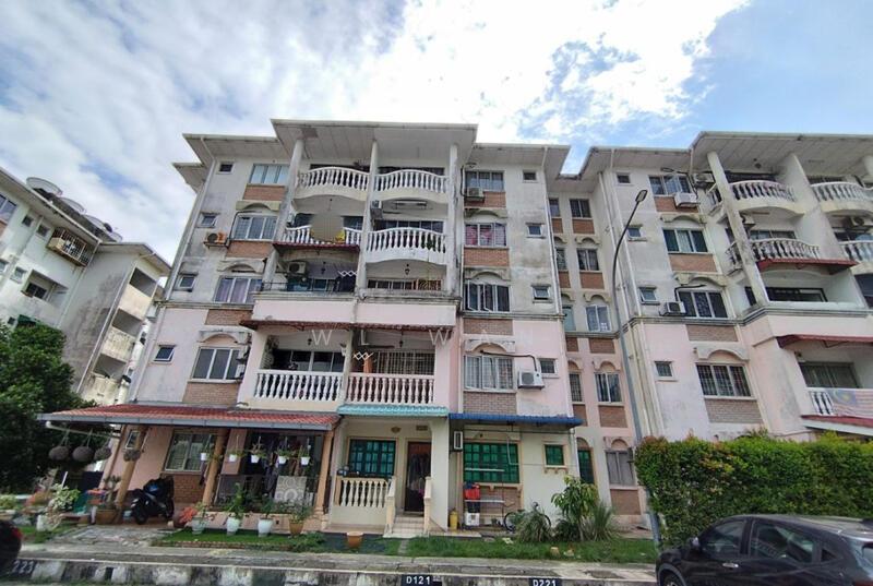 Palma Puteri - 3