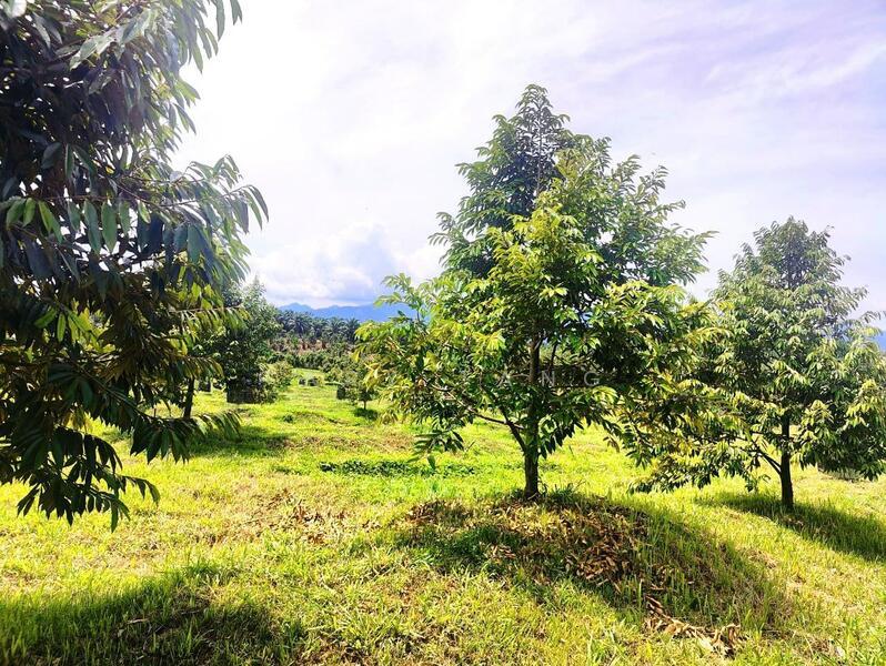 lenggong bukit sapi - 4