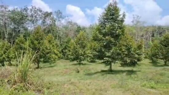 lenggong bukit sapi - 3