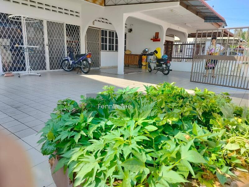 Teluk Intan town - 5