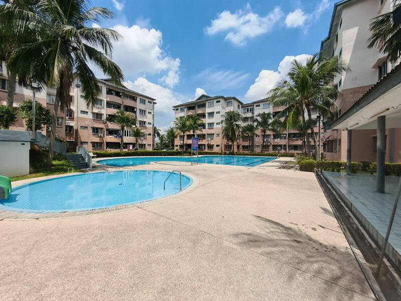 Palm Ville - 5