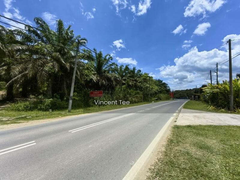 31 Acres Freehold Oil Palm Main Road Frontage Sang Lee Raub - 1