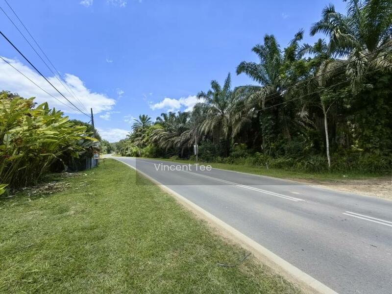 31 Acres Freehold Oil Palm Main Road Frontage Sang Lee Raub - 2