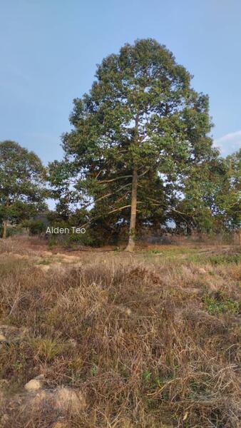 Batu Berendam Commercial land - 2