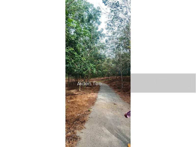 Batu Berendam Commercial land - 3