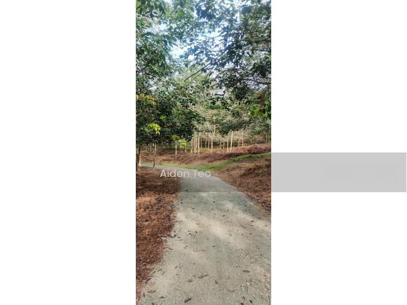 Batu Berendam Commercial land - 5