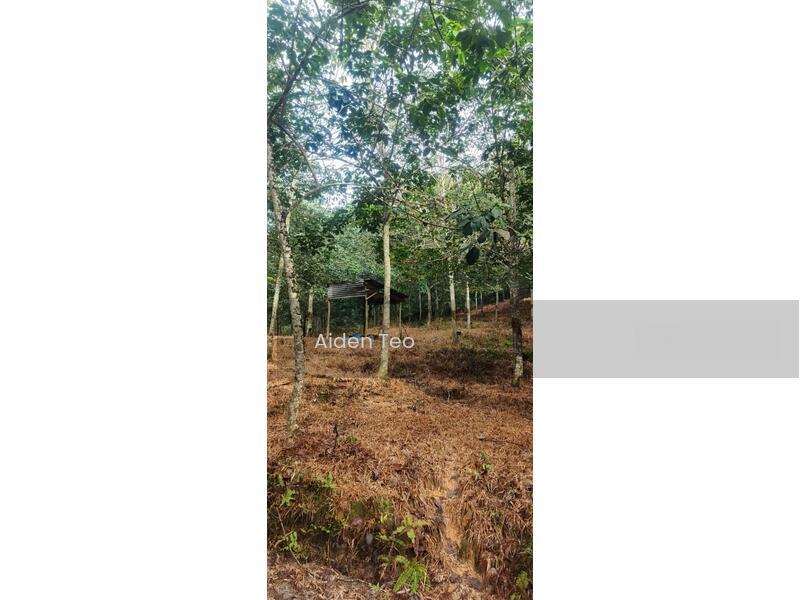 Batu Berendam Commercial land - 4