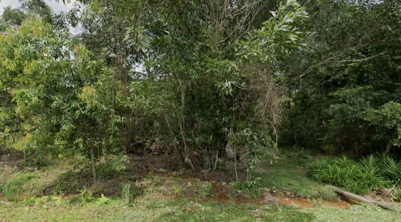 Bukit Tengah - 3