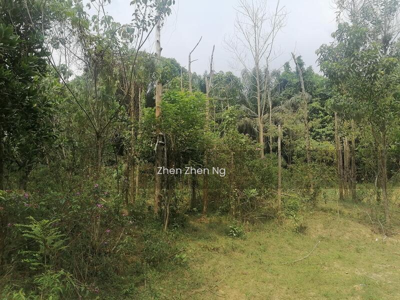 Senai, Agriculture Land for Sale, Suitable for Developers to build Factories or Data Centers - 2