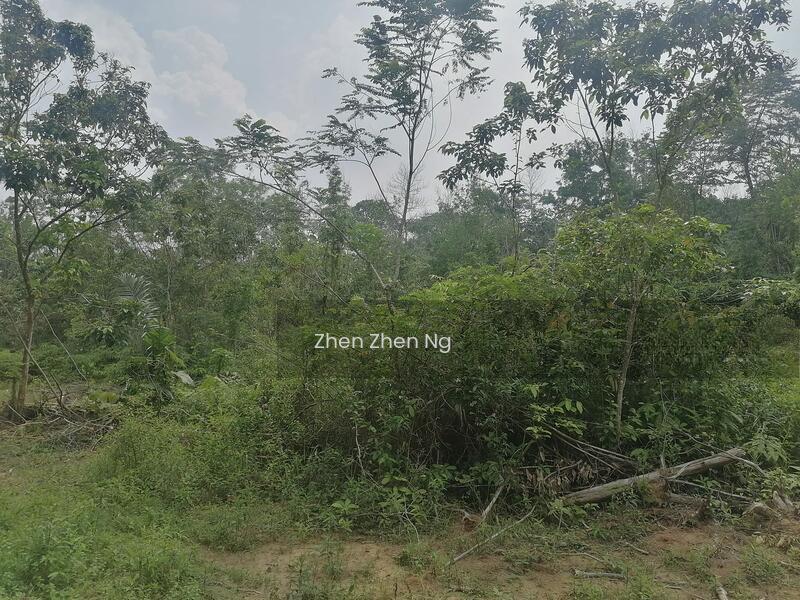 Senai, Agriculture Land for Sale, Suitable for Developers to build Factories or Data Centers - 1