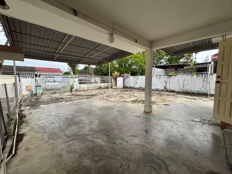 Jelutong - 5