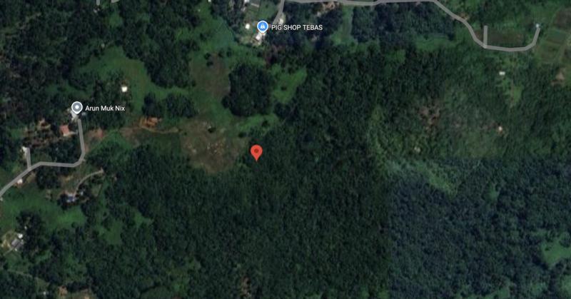 Native Agricultural Land @ Kuching Serian Road 14th Mile - 3