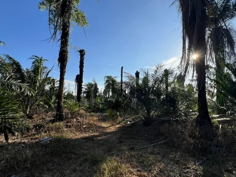 Kampung Tanjung Kupang - 4