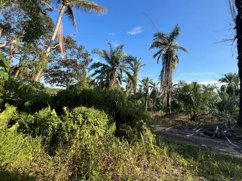 Kampung Tanjung Kupang - 2