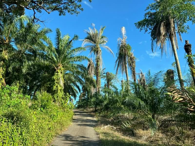 Kampung Tanjung Kupang - 1