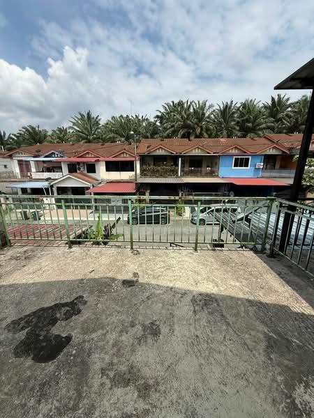 kelapa sawit kelapas sawits - 5