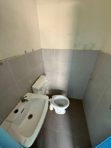 kelapa sawit kelapas sawits - 2