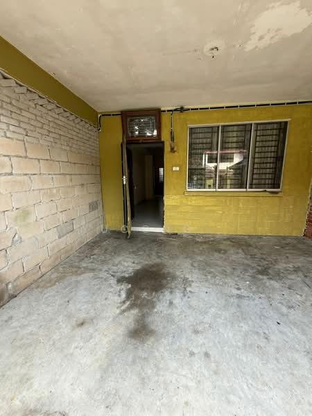 kelapa sawit kelapas sawits - 4