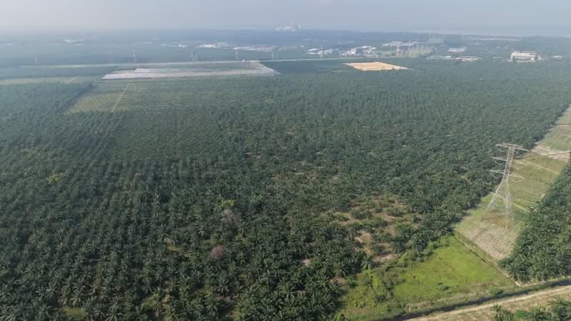 11 Acres Freehold Zone Industry Land Jeram Kapar - 3