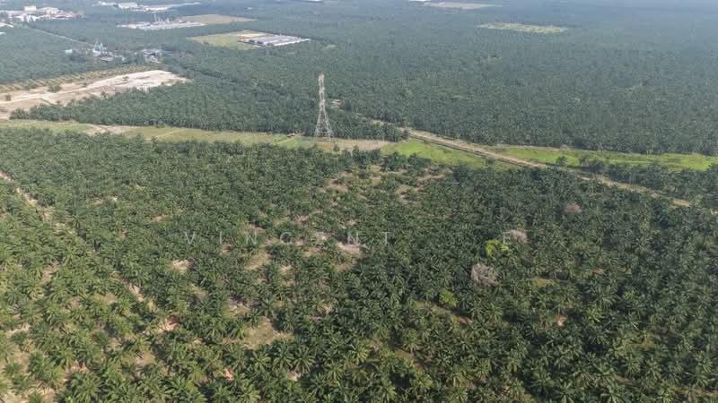11 Acres Freehold Zone Industry Land Jeram Kapar - 2