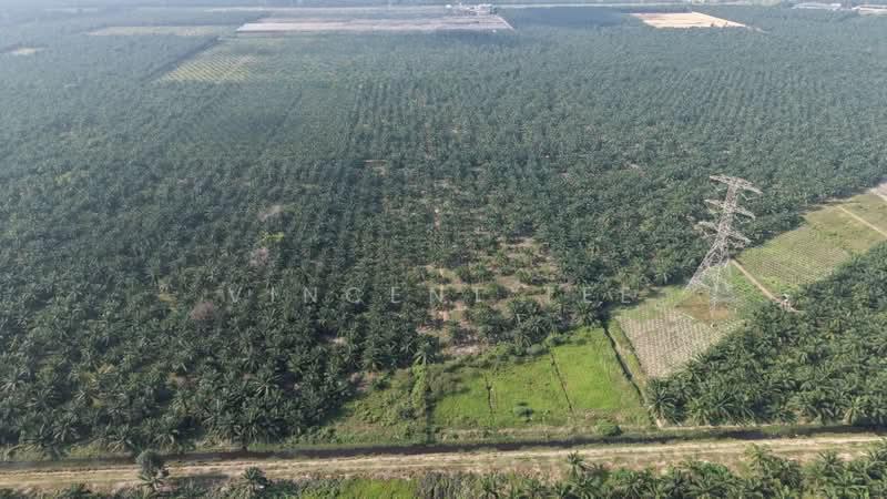 11 Acres Freehold Zone Industry Land Jeram Kapar - 5