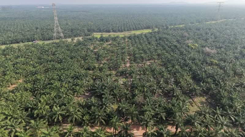 11 Acres Freehold Zone Industry Land Jeram Kapar - 4
